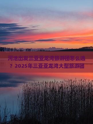 河池出发三亚亚龙湾大型旅游团