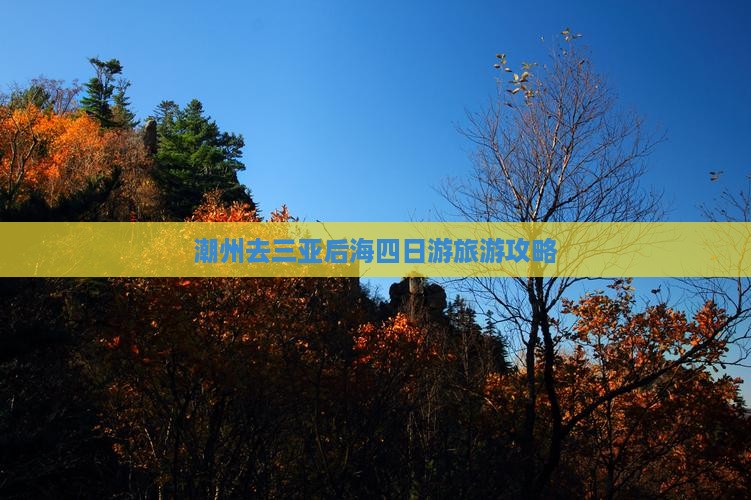 潮州去三亚后海四日游