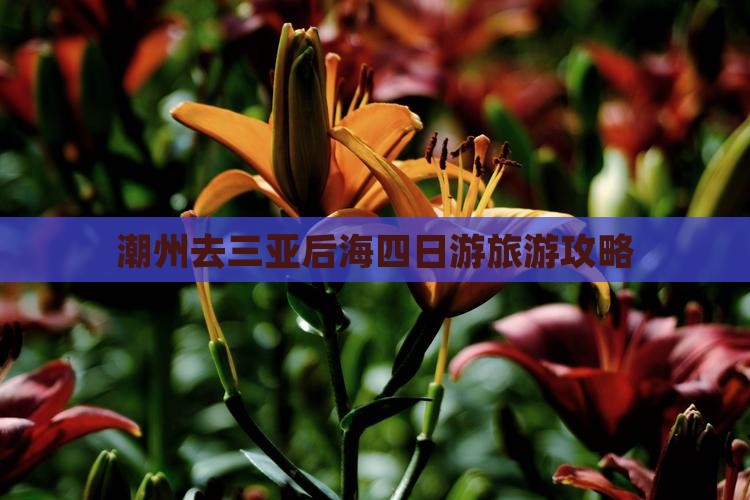 潮州去三亚后海四日游
