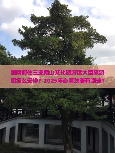 醴陵前往三亚南山文化旅游区大型旅游团