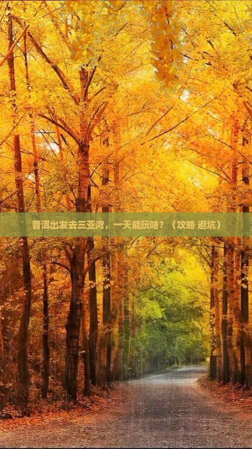 普洱出发三亚三亚湾一日游