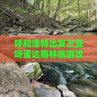 呼和浩特出发三亚呀诺达景区旅游网红地点
