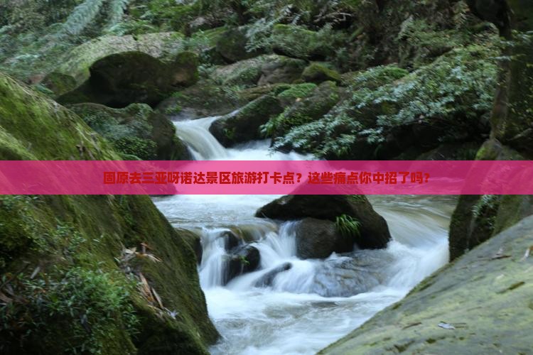 固原去三亚呀诺达景区旅游打卡点