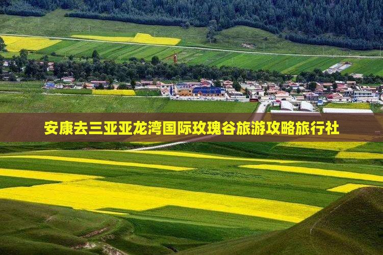 安康去三亚亚龙湾国际玫瑰谷旅行社