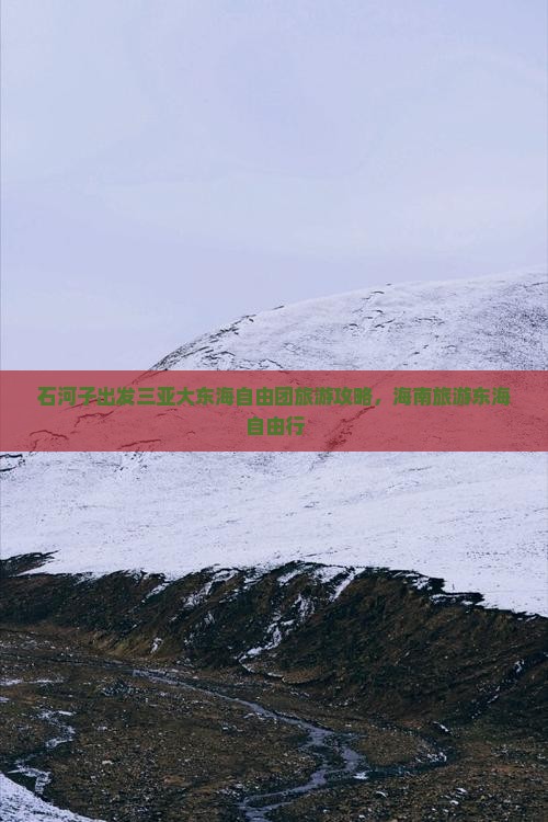 石河子出发三亚大东海自由团