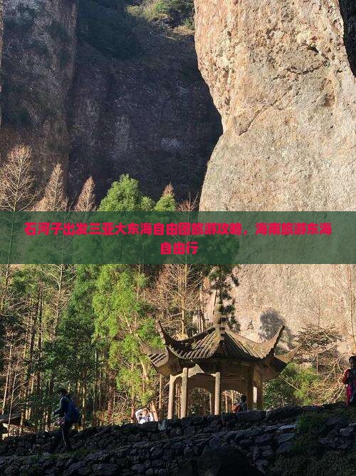 石河子出发三亚大东海自由团