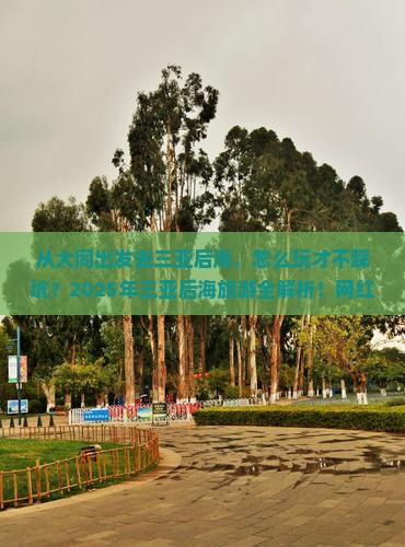 大同出发三亚后海旅游网红地点