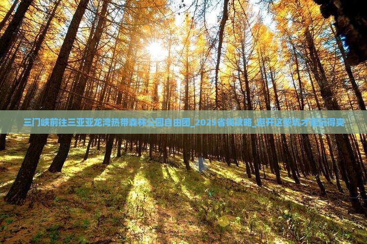 三门峡前往三亚亚龙湾热带森林公园自由团