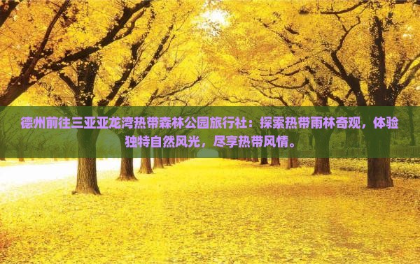 德州前往三亚亚龙湾热带森林公园旅行社