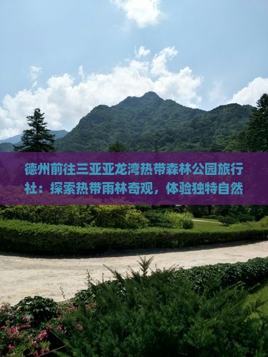 德州前往三亚亚龙湾热带森林公园旅行社