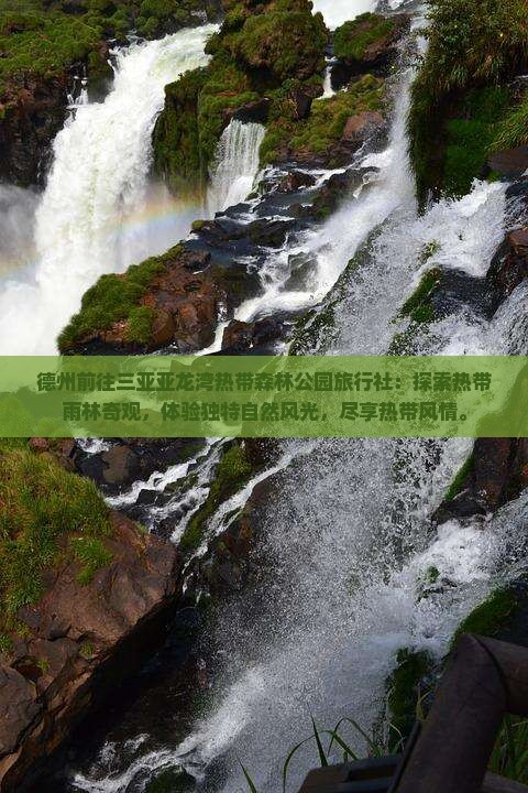 德州前往三亚亚龙湾热带森林公园旅行社
