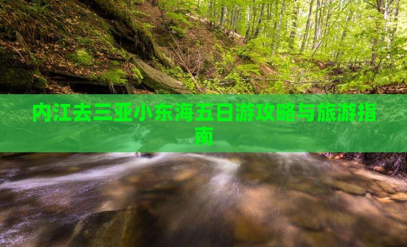 内江去三亚小东海五日游