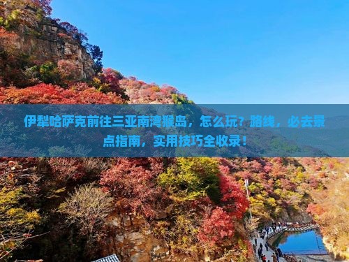 伊犁哈萨克前往三亚南湾猴岛哪里玩