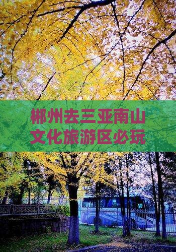 郴州去三亚南山文化旅游区必玩地