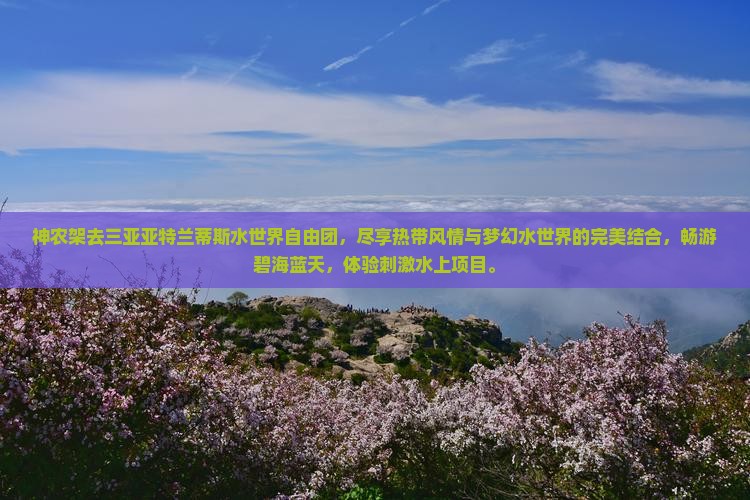 神农架去三亚亚特兰蒂斯水世界自由团