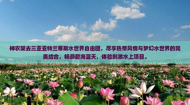 神农架去三亚亚特兰蒂斯水世界自由团