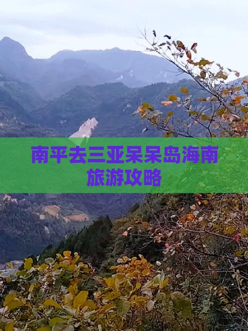 南平去三亚呆呆岛团体旅游