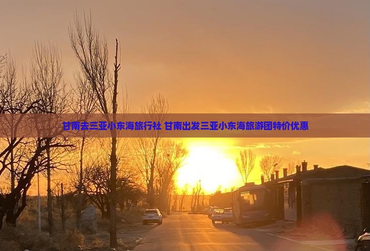 甘南去三亚小东海旅行社