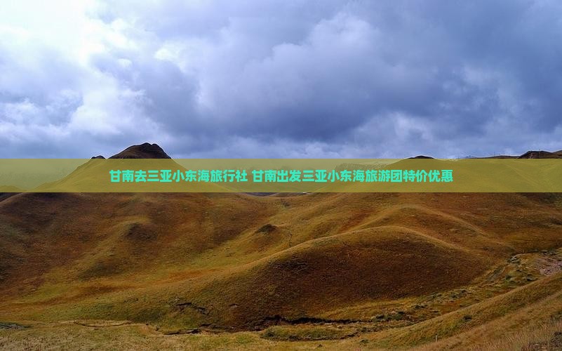 甘南去三亚小东海旅行社