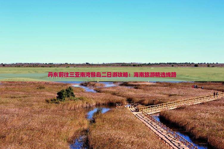 丹东前往三亚南湾猴岛二日游