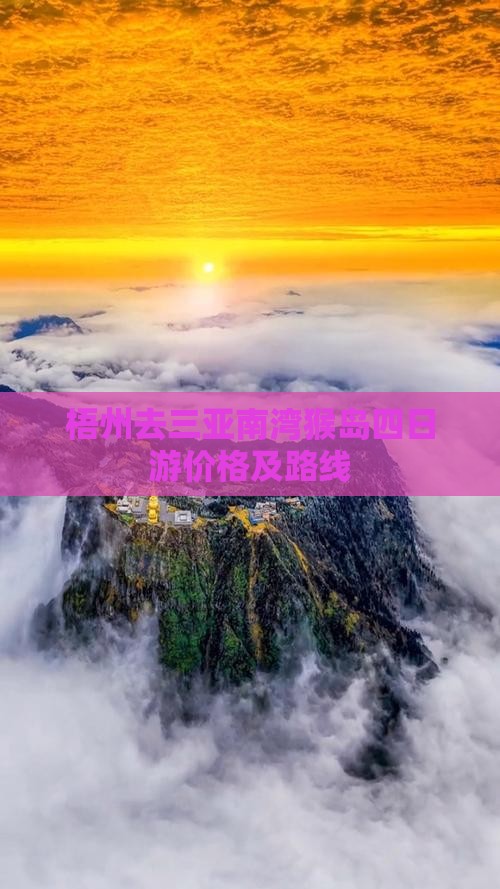 梧州去三亚南湾猴岛四日游