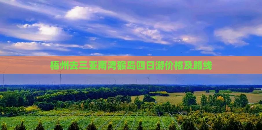 梧州去三亚南湾猴岛四日游