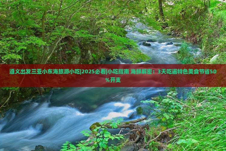 遵义出发三亚小东海旅游小吃