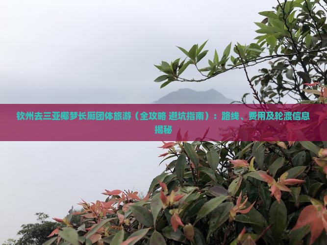 钦州去三亚椰梦长廊团体旅游