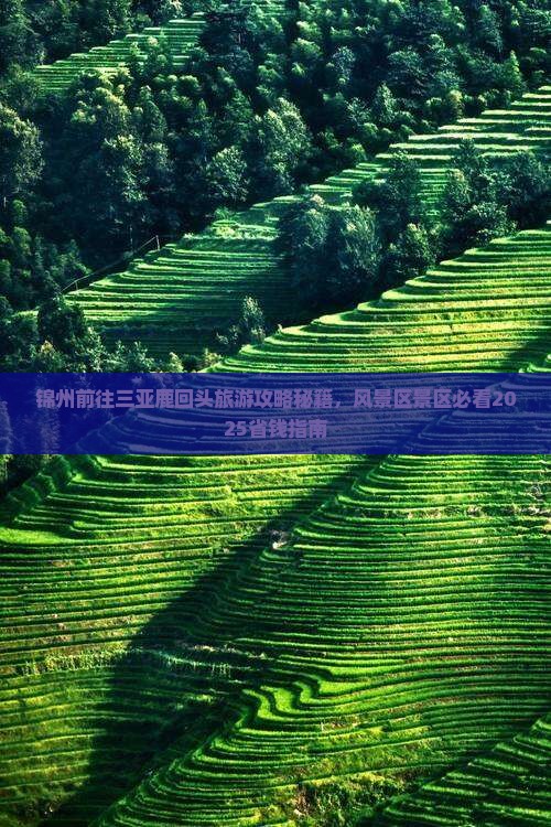锦州前往三亚鹿回头旅游打卡点