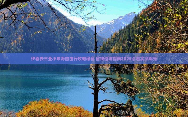 伊春去三亚小东海自由行