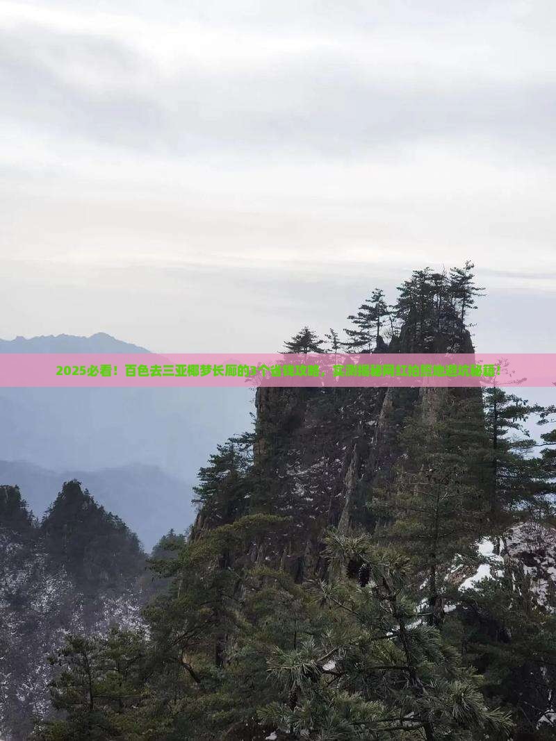 百色前往三亚椰梦长廊旅游网红地点