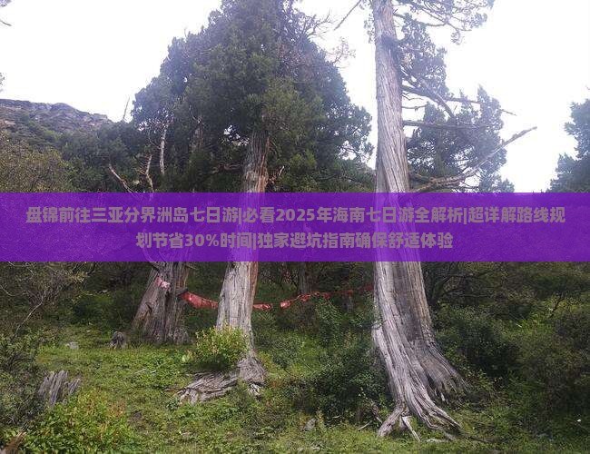 盘锦前往三亚分界洲岛七日游