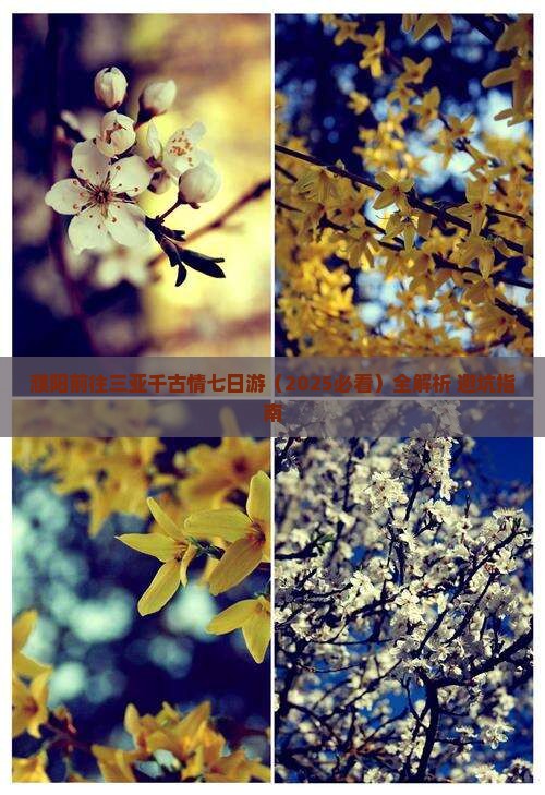 濮阳前往三亚千古情七日游