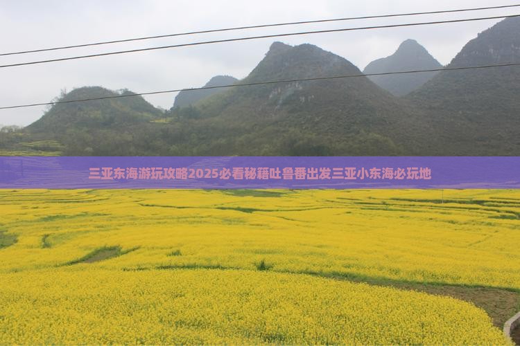 吐鲁番出发三亚小东海必玩地