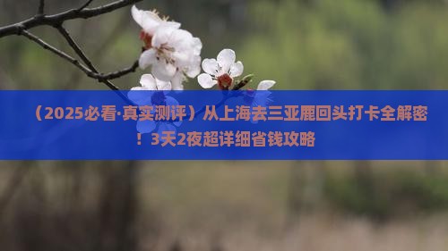 上海出发三亚鹿回头旅游打卡点