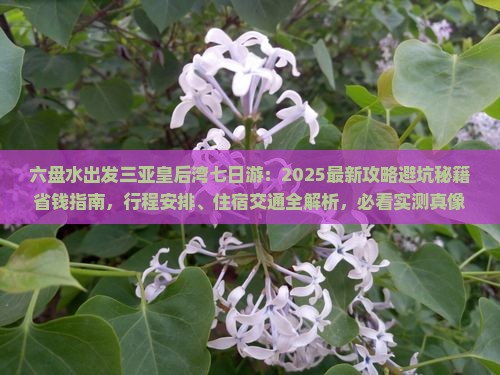 六盘水前往三亚皇后湾七日游
