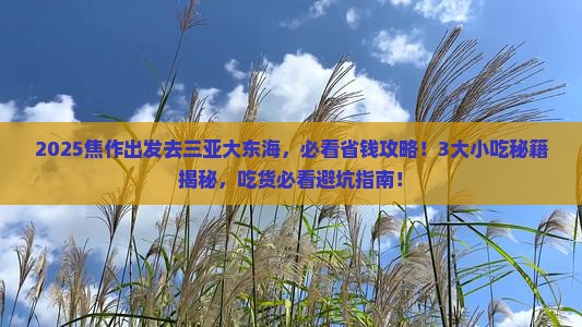 焦作前往三亚大东海旅游小吃