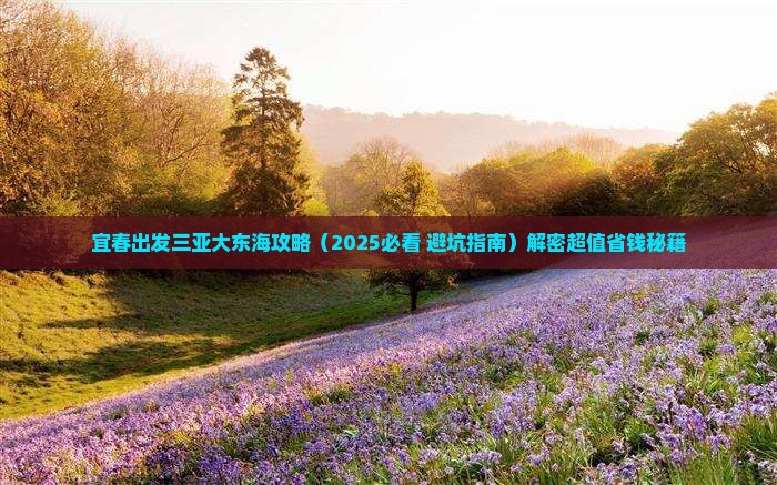 宜春出发三亚大东海攻略