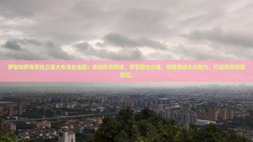 伊犁哈萨克前往三亚大东海自由团