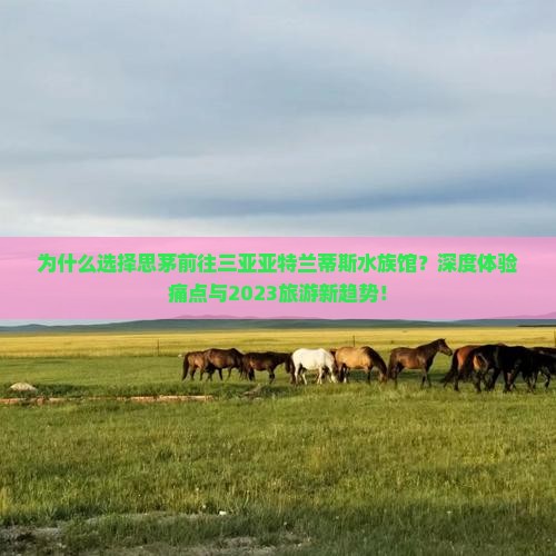 思茅前往三亚亚特兰蒂斯水族馆旅游