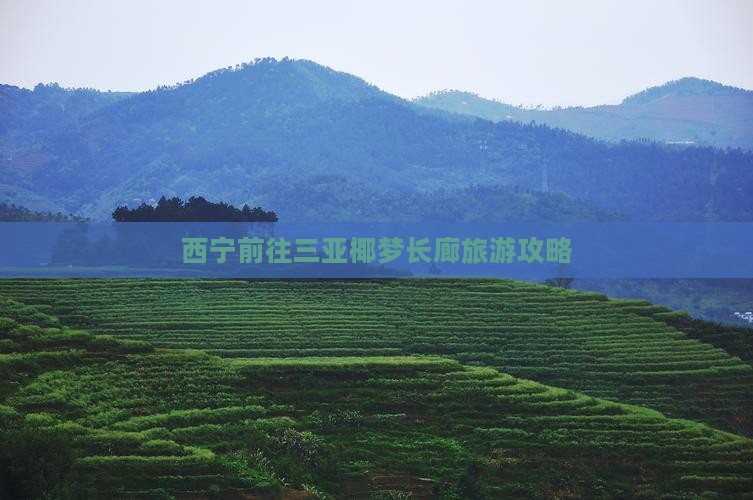 西宁前往三亚椰梦长廊团体旅游 西宁前往三亚椰梦长廊团体旅游