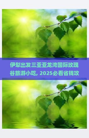 伊犁出发三亚亚龙湾国际玫瑰谷旅游小吃