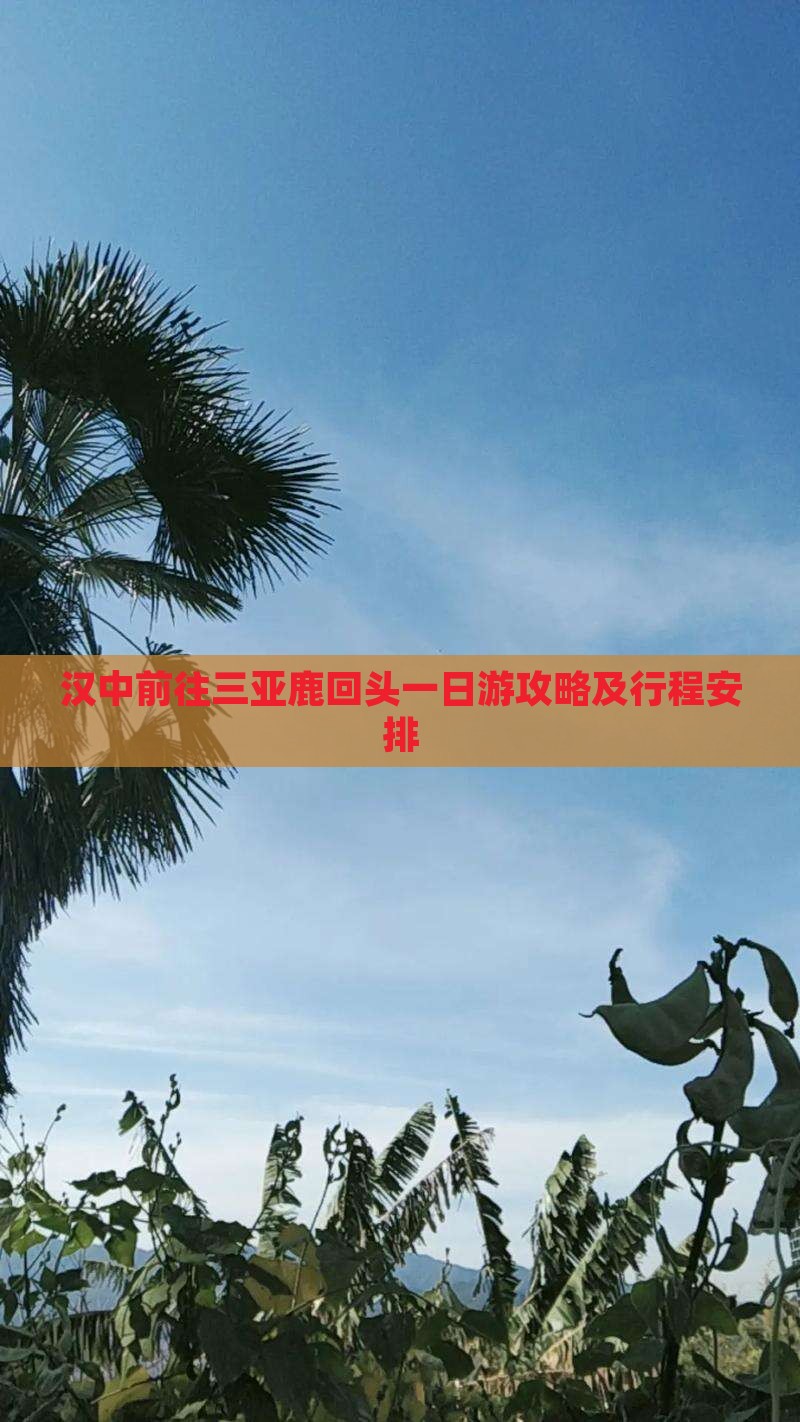 汉中前往三亚鹿回头一日游