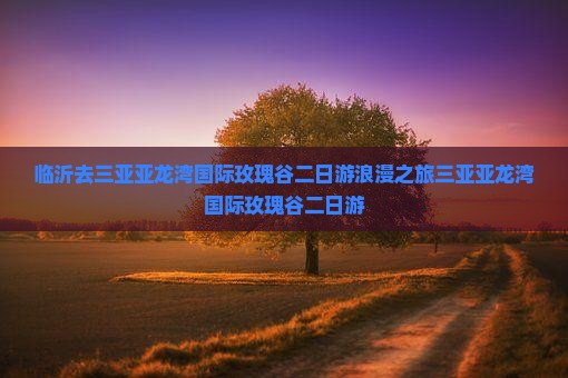 临沂去三亚亚龙湾国际玫瑰谷二日游