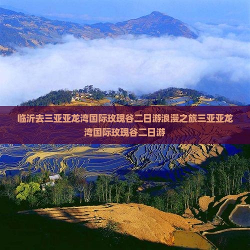 临沂去三亚亚龙湾国际玫瑰谷二日游