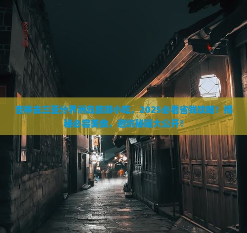吉林去三亚分界洲岛旅游小吃