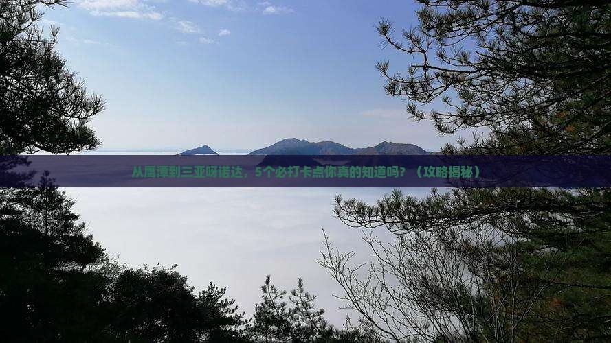 鹰潭去三亚呀诺达景区旅游打卡点