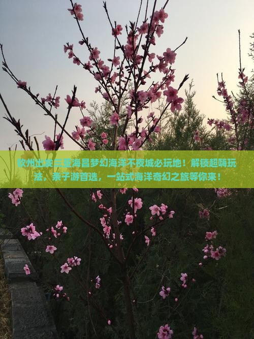 钦州出发三亚海昌梦幻海洋不夜城必玩地