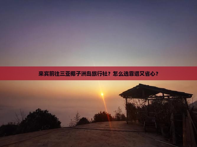 来宾前往三亚椰子洲岛旅行社