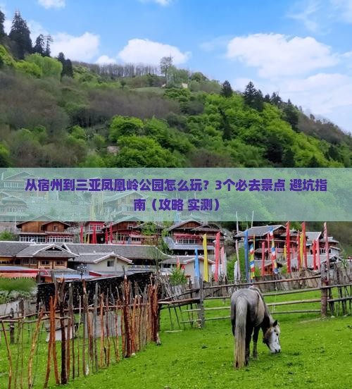 宿州去三亚凤凰岭公园哪里玩